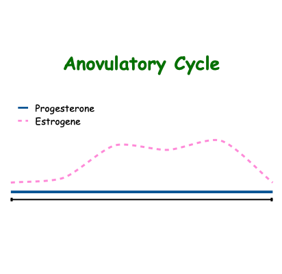 Anovulatory Cycle