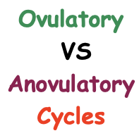 Ovulatory VS Anovulatory Cycle